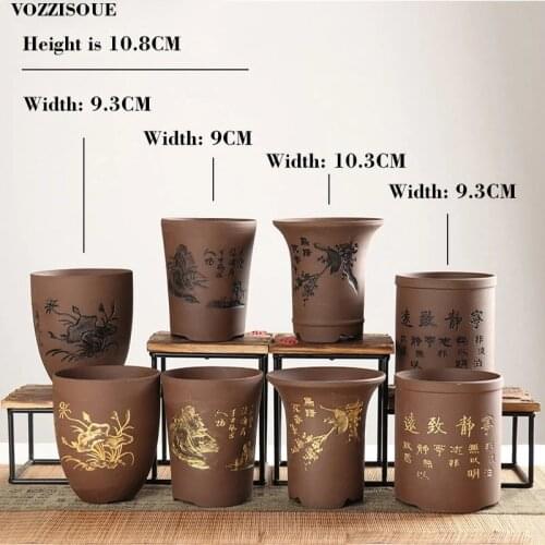 Vozzisoue Bonsai Seeds
