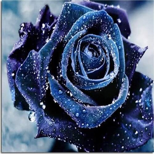 5D DIY Diamond Painting By Number Kits，blue Rose