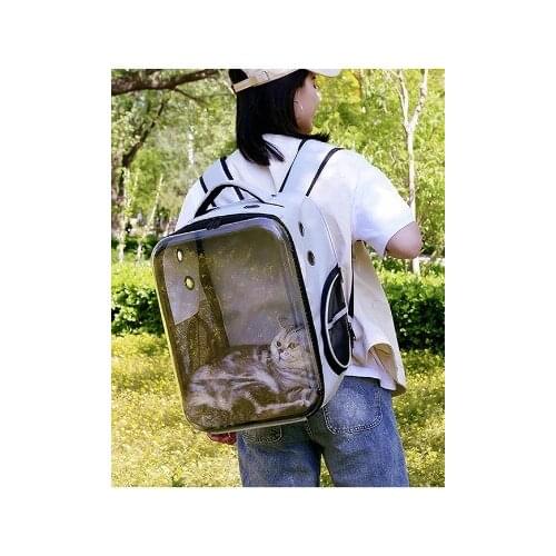 Transparent & Multi-Functional Car Traveling Foldable Bag For Pets Color Carrie Accessories