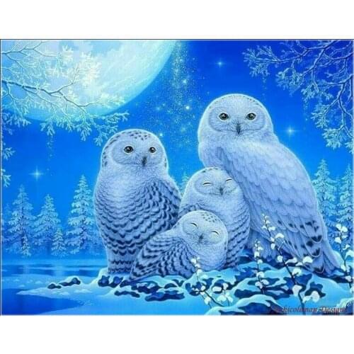 Counted Cross Stitch Kits Needlework Embroidery - Crafts 14 ct Aida DMC Color DIY Arts Handmade Home Decor - Snow Owls Family