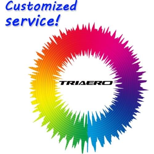 Carbon bicycle customized painting