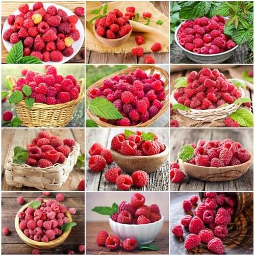 5d Diamond Painting Full Square/Round Fruit Diamond Embroidery Pictures of Rhinestones DIY Cross Stitch Landscape Beaded Art