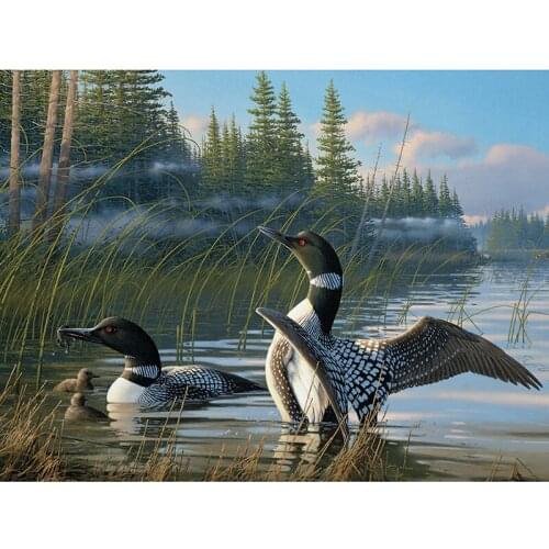 Full square diamond 5D DIY diamond embroidery Water duck diamond painting Cross Stitch Rhinestone mosaic home decoration gift