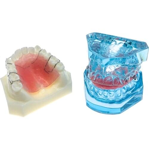 Dental Functional Orthopedic Bionator Removable/Hawley Retainer Teeth Model for dentistry students Teach Study Model