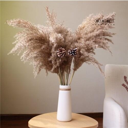 10pcs Natural Pampas Decor Grass Home Wedding Decoration Phragmites &Reed Bunch Flowers Dried Reed Christmas Bouquet