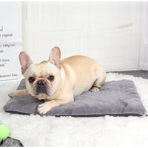 Puou Dog Beds