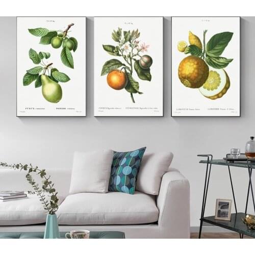 Many Kinds Minimalist Retro Fruits Poster Canvas Paintings Print Poster Botanical Art Antique Pictures Wall Art Paints for Home