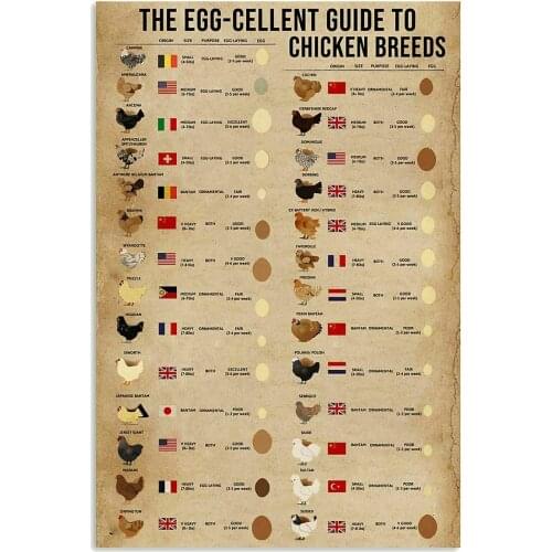 Chicken Breeds Egg Poster Egg Over The World for Farmer Bar Signs Metal Tin Sign Home Kitchen Diner Bar Pub and Man Cave
