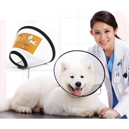 New Dog Accessories Pet Products Plastic Cat Dog Collar Elizabeth Circle Anti Bite and Scratching Collars Beauty Healing Brace