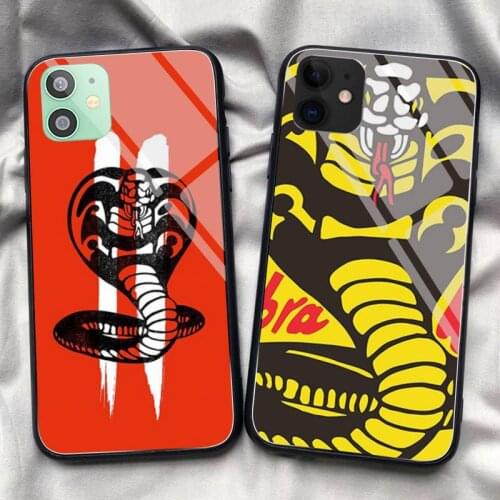 Cobra Kai Season 2 Phone Case Tempered Glass For iPhone 11 Pro XR XS MAX 8 X 7 6S 6 Plus SE 2020 12 Pro Max Mini case