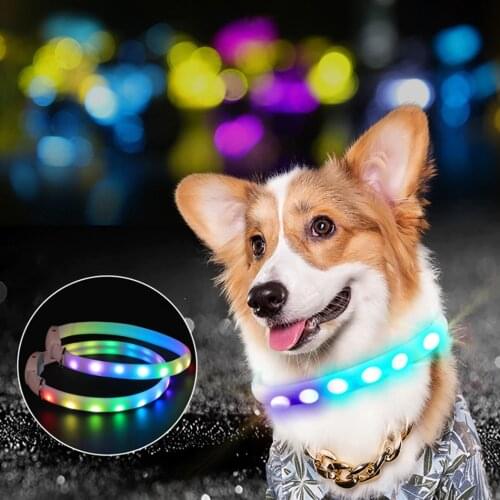 Legendog USB Charging Led Dog Collar Anti-Lost Luminoso Perros Safety Perro Personalizado Big Dogs Chiens Pet Products