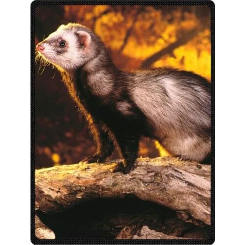Custom Photo Blanket Flannel Fleece Fabric Blanket Ferret Sofa Bed Throw Blanket Kid Adult Warm Blanket