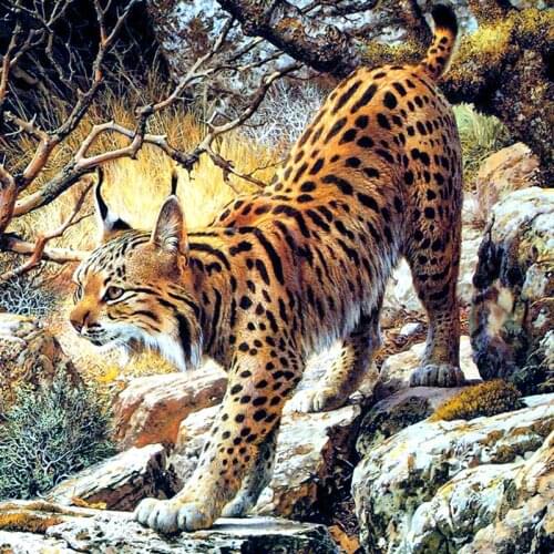 Diamond Painting Animal Beast Lynx 5d Diy Mosaic Full Square Round Drill Diamant Of Rhinestone Daimond Embroidery Pictures Sale