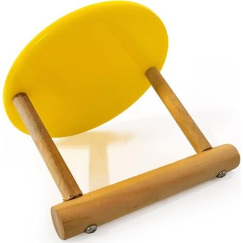 Parrot Wooden Tabletop Perch with Acrylic Base Bird Standing Exercising Grinding Desktop Perch