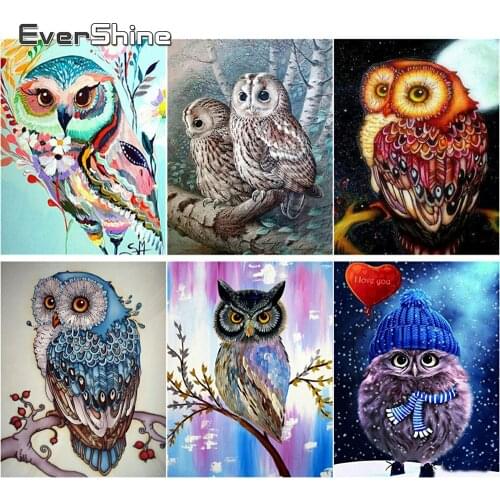 Evershine 5D DIY Diamond Painting Full Drill Square Animals Owl Diamond Embroidery Cross Stitch Pet Rhinestone Pictures Crystal