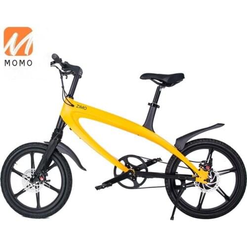 2020 Hot Popular 36V 240W Electric Bike, China Pedal Assist Electric Bicycle