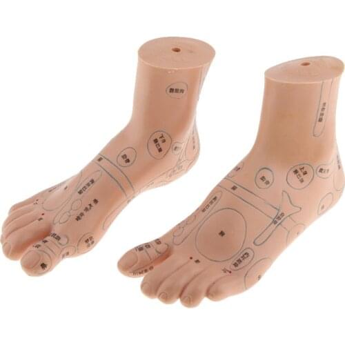 1 Pair Feet Acupuncture Reflexology Model Massage Learning Model for School Teaching Tool Learning Display Lab Supplies