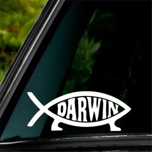 Darwin Fish Sign Decal Sticker Evolution Laptop Vinyl Decal White Decal 5" Wide Truck Notebook Die Cut Sticker Color: White