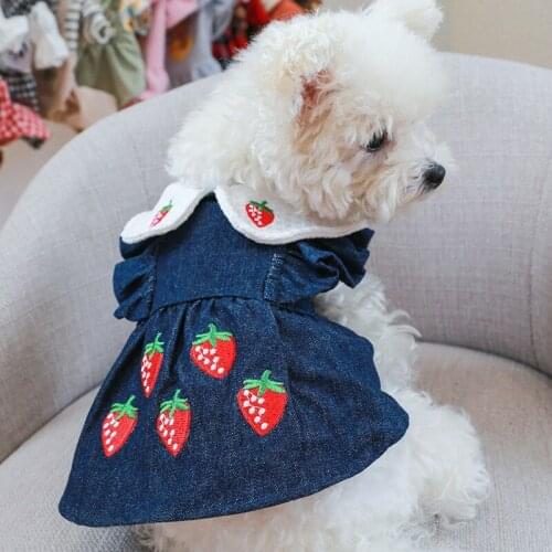 Pet Clothes Autumn/winter Princess Strawberry Dress with Embroidered Lapels Teddy Cat Skirt Denim Jean Dress Yorkie Puppy Coat