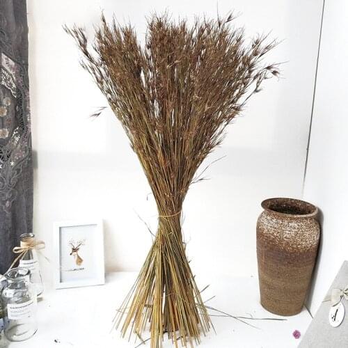 50pcs Artificial Flowers Bird of Paradise Flower In Vase Dried Plant Accessories Bathroom Decor Gazebos Easter PartyCheap Goods