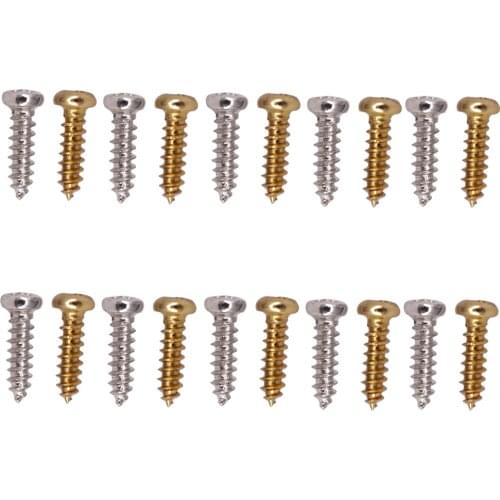 100 Pieces Guitar Bass Tuner Tuning Peg Mounting Screws Silver Gold