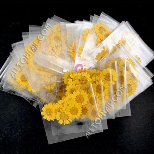 Chrysanthemum paludosum yellow 300packs 1800pcs pressed flower Dried flowers