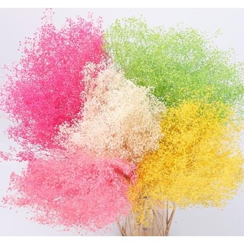 120g Real Natural Dry Gypsophile Fresh Forever Babysbreath Dried Preserved Flowers For DIY Eternal Flower Material Wedding Plant