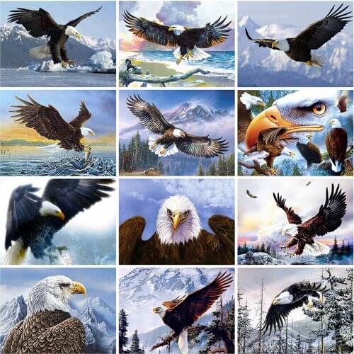 Evershine 5D DIY Diamond Embroidery Eagle Animals Diamond Painting Cross Stitch Full Square Rhinestone Mosaic Home Decoration
