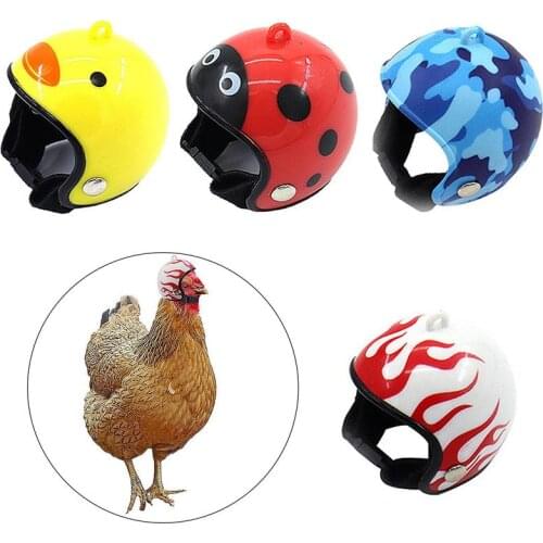 AUKUK Carriers For Animals