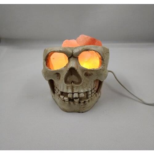 2021 New Hot-selling European and American Style Skull Pakiatan Himalayan Crystal Salt Lamp USB Dimmable Night Light