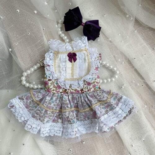 Chihuahua Dress Cat Dog Clothing Summer Small Dog Pet Clothing Teddy Bichon Cat Princess Thin Wedding Dress Lace Wedding Dress