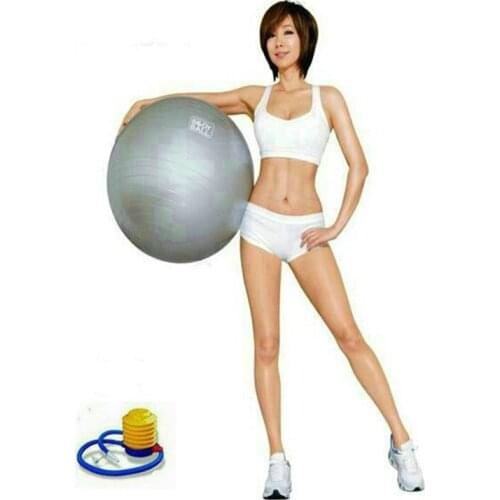 65cm Yoga Balls fitness ball special for women AEROBICS Lose weight Free Shipping