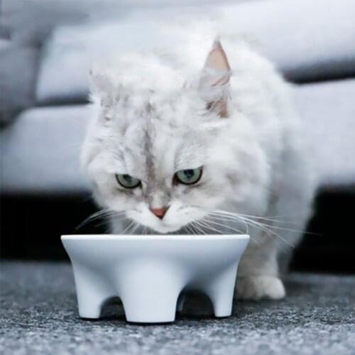 Cats Food Pet Bowls For Dogs Melamine Pet Supplies Elevated Pet Bowls Pet Feeding Cat Water Bowl
