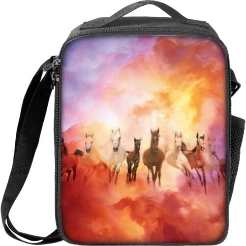 ELVISWORDS Custom Teenager Lunch Bags Boys Girls Lunch Box Thermal Insulated Lunchbox Travel Picnic Messenger Bags Food Handbag