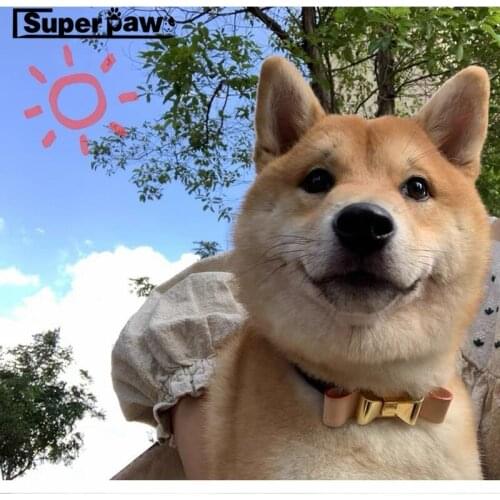 Fashion Pet Dog Leather Collar Leash Set for Small Medium Large Dogs Puppies Outdoor Pet Dog Cat Cats Leading Accessories ZLL10