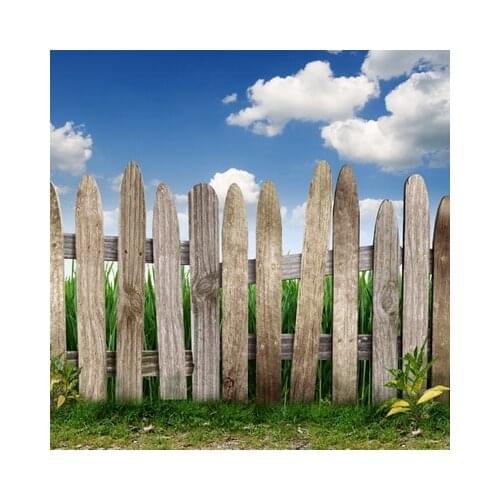 5x5ft Wholesale Photography Backdrops Hot Sale Studio Outdoor Photo Studio Backgrounds For Newborn Children Portrait D-3762