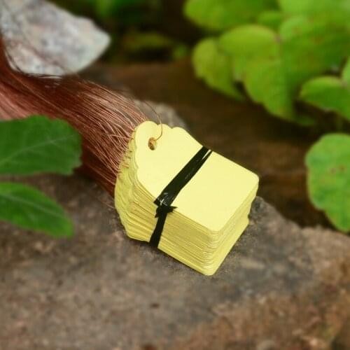 50PCS 35x50MM Hanging Plant Markers DIY Seedlings Plastic Labels Hang Garden Flowers Pots PVC Tags Garden Tools