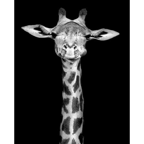 GATYZTORY Frameless Painting By Numbers Kits Handmade Digital Paint Black White Giraffe Animal Picture By Number Home Wall Art C