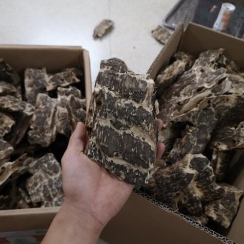 40g Natural black oil agarwood old material Incense Home Fragrant Wood Good Healthy Natural