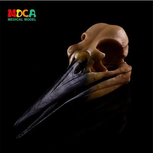Archaize yellow dinosaur bird skull resin skull and bone resin handicraft home furnishing animal skull research originality KLGT