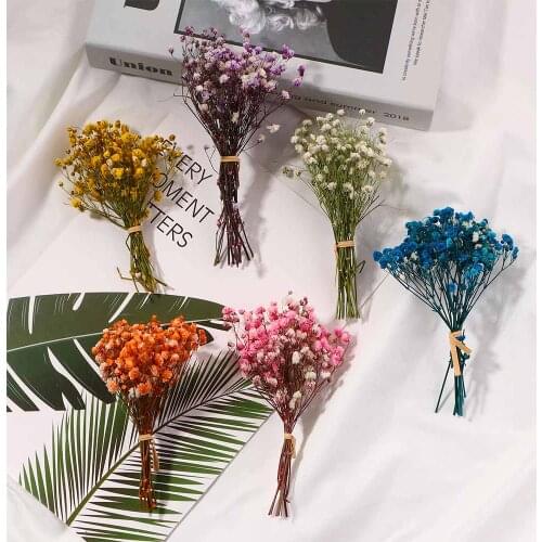 1 Pcs Gypsophila Dried Flowers Colorful Creative Natural Decor For Photography Backdrop Wedding Party DIY Accessories