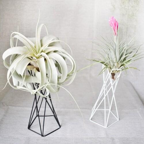Iron Art Air Plant Holder Desktop Home Decor Balcony Nordic Style Ornaments Garden Stable Geometric Flower Pots Stand Tillandsia