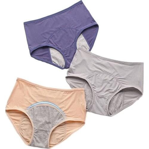 3XL Plus Size Breathable Panties for Plump Women Mesh Physiological Period Leak Proof Menstrual Underwear Middle Waist Breifs
