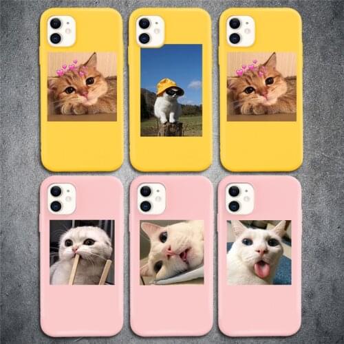 TIDOVE Soft TPU Phone Case For iPhone 11 Pro Max 7 8 Plus 6 6S 5S SE 2020 XS Max XR X NEW Fashion Animal Lovely Cat Fundas Cover