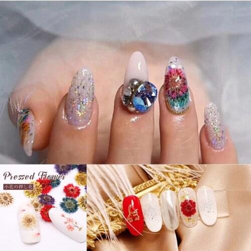 Manicure Dried Flowers Flores Home Decoration Accessories Mothers Day Wedding Favors And Gifts Flower Wall Thanksgiving