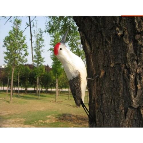 New simulation woodpecker model foam& furs white bird gift about 35cm 1158