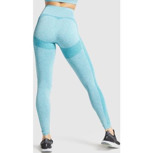 Fitness pants yoga clothes suits womens running fitness leggings