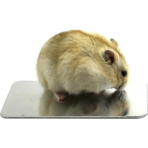 1pc Pet Cooling Plate Aluminum Alloy Cooling Mat For Rabbit Hamster Totoro Small Pets Summer Heat Dissipation Mat Pet Cage Decor