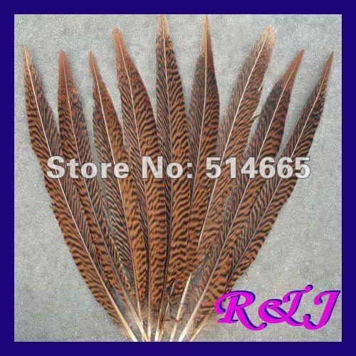 Wholesale pheasant feathers 50PCS 35-40cm 14-16inch golden pheasant feather tail Free Shipping