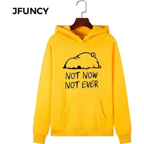 JFUNCY 2020 New Print Women Hoodie Long Sleeve Autumn Pullover Female Hooded Sweatshirt Woman Casual Hoodies Sportwear